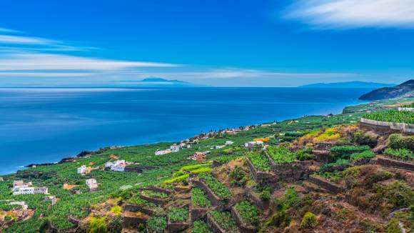 Plataneras con el Teide al fondo