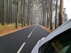 Misteriosas subidas al Teide