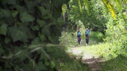 Que el verde no falte en las rutas con la bicicleta