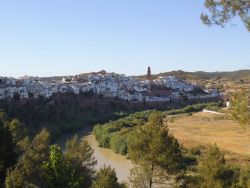 Menadro del Río Guadalquivir en Montoro, Córdoba