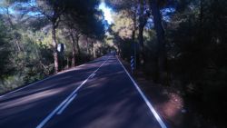 Desierto de las Palmas