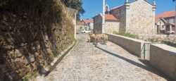 Pavé y altimetría en el Alto de Azureira, Orense 