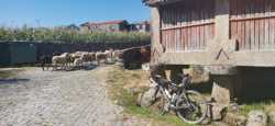 Bonito final para el Alto de Azureira en Orense