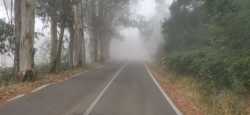 Entre la niebla del Alto Foia 