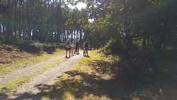 Uff, por fin un tramo llano