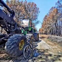 Así es la máquina que corta los pinos quemados comparada con una MTB