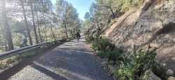 Desafío en el asfalto de Mas del Pecho 