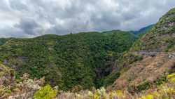 Recorridos por la isla con selva húmeda por donde va la ruta del Cubo de la Galga