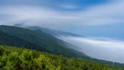 Selvas y mares de nubes en La Palma