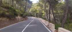 Ascenso sereno por el puerto de Tudons entre verdes arboledas 