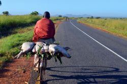 Transporte en bici en Malauí por Alexandre Costa Nascimento