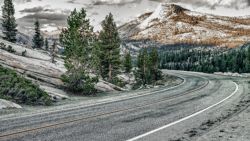 Carretera típica por el parque de Yosemite en USA