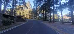 Fotografía: Ascenso entre la frondosidad de La Monteñeta 