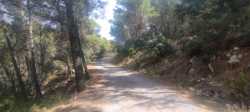 Ascenso Desafiante por el Peñon Divino en la CV-770 de Sella, Alicante  