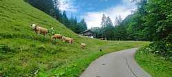 Fotografía: Animadores subiendo el Mittelbergpass, Suiza