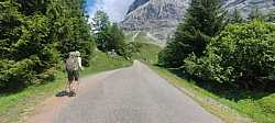 Fotografía: Unos caminando y otros en bici hacia Grosse Scheidegg en Grindelwald