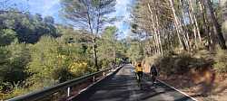 Carretera Arbolada en Ascenso al Collado de Jinquer