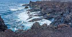 Arisca costa de Lanzarote