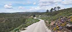 Lo que queda camino la Cueva del Murciélago, laaaargo