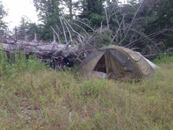 Acampada viajera de David en Japón con su bici